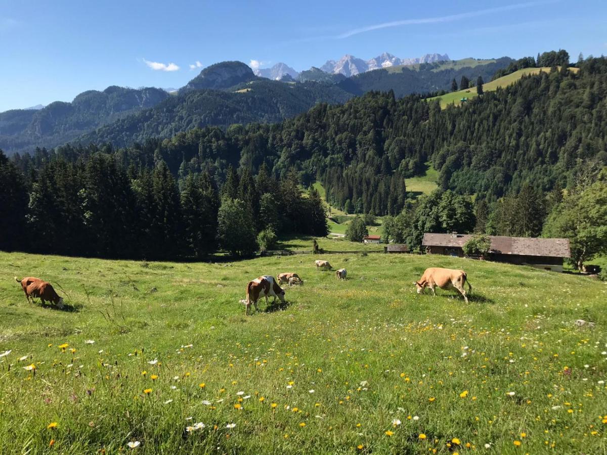 Ferienwohnung Biobauernhof Schneiderbauer Unken Exterior foto