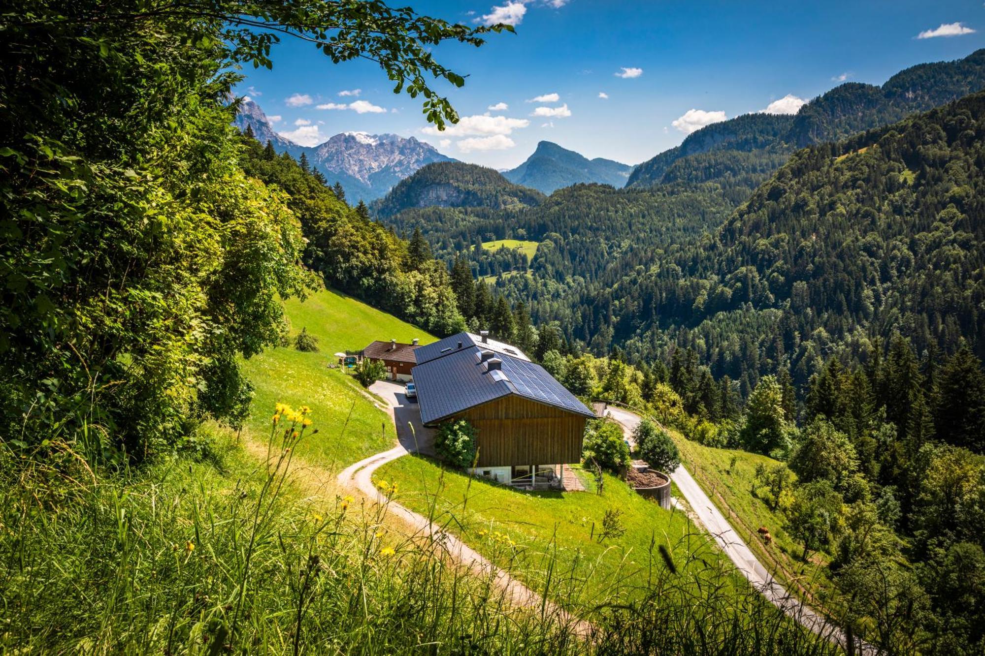 Ferienwohnung Biobauernhof Schneiderbauer Unken Exterior foto