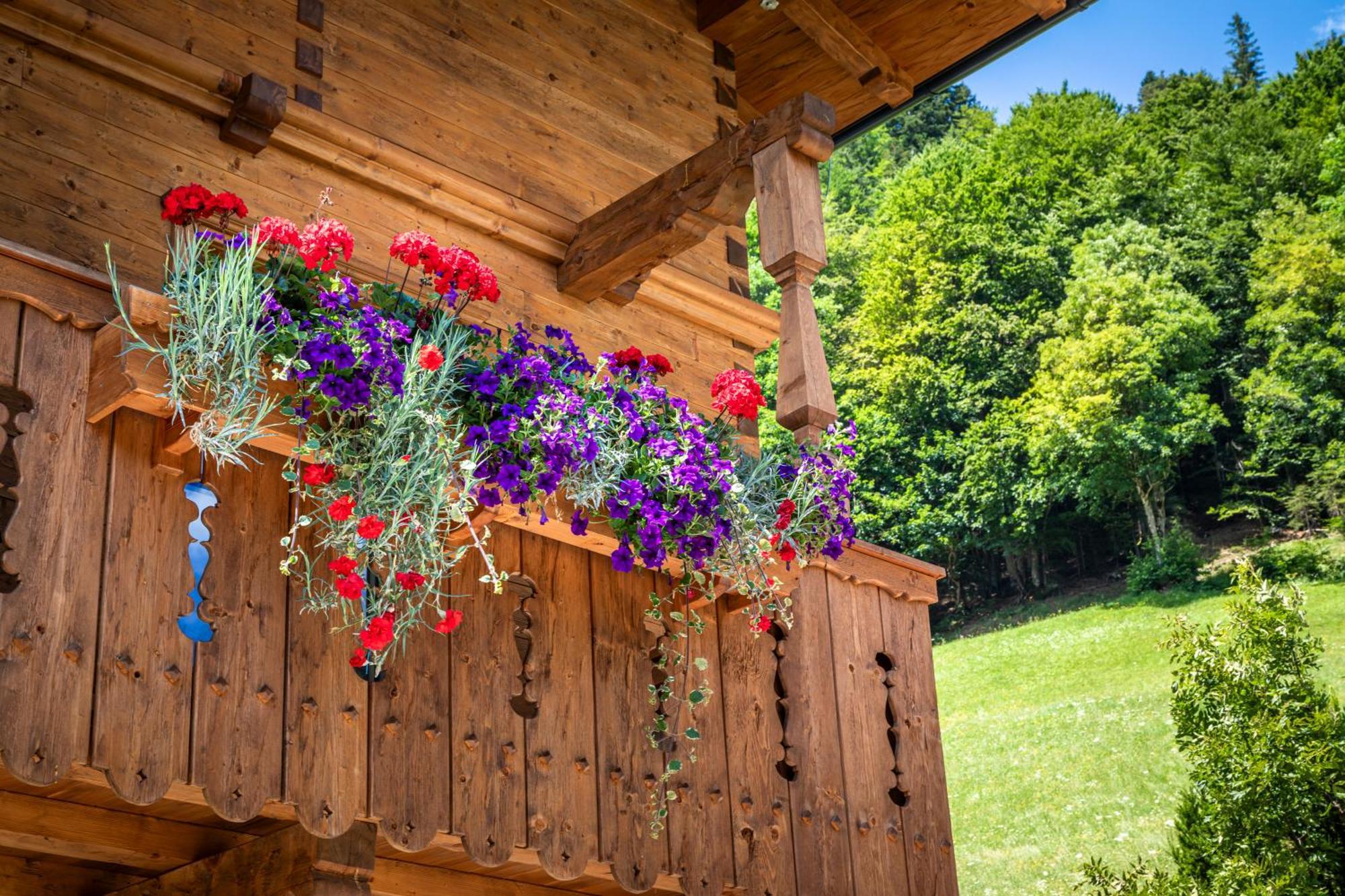 Ferienwohnung Biobauernhof Schneiderbauer Unken Exterior foto